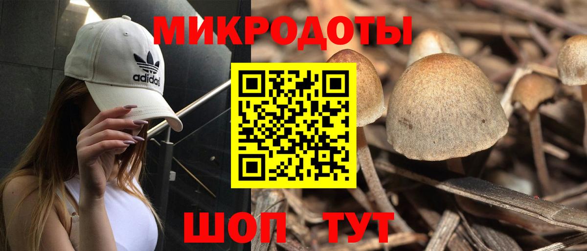 Уссурийск  Псилоцибиновые грибы Psilocybe  Вход с VPN  Галлюциногенные грибы Cubensis 